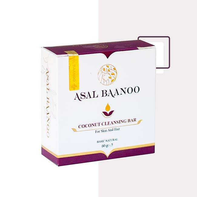 پن نارگیل کاملا طبیعی عسل بانو در جعبه بسته بندی 60 گرمی
