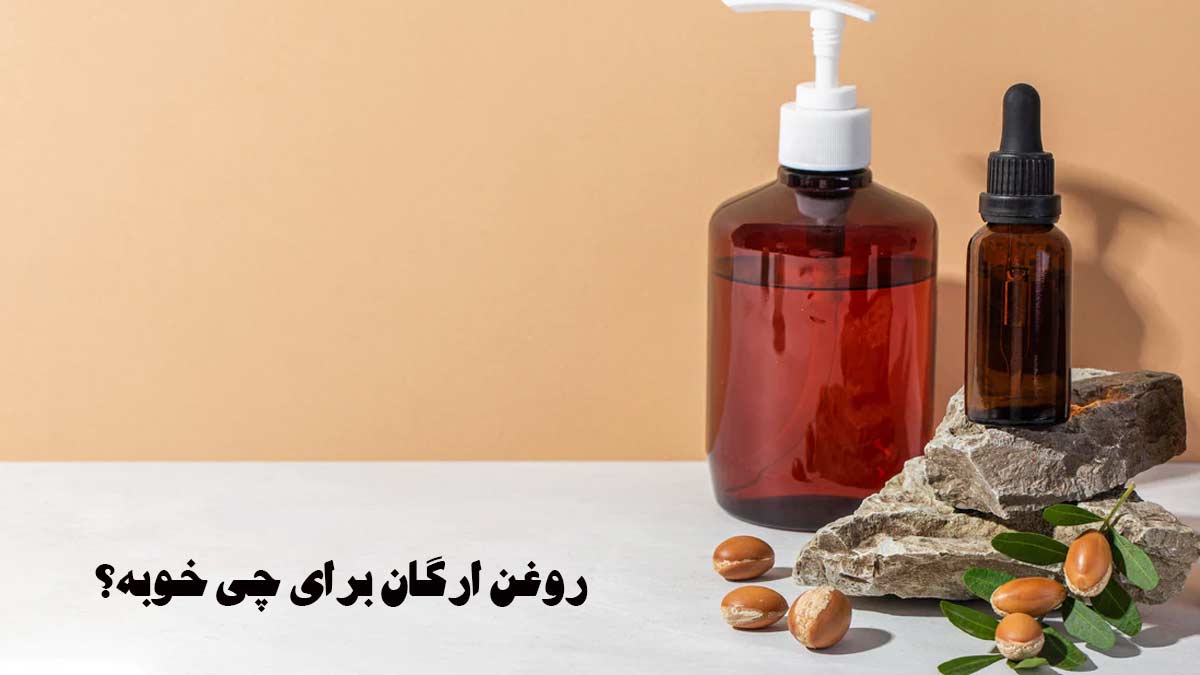 روغن آرگان برای چی خوبه؟ ظرف بزرگ و کوچک تیره رنگ روغن آرگان که در کنار آن دانه های آرگان و برگ درخت آرگان وجود دارد